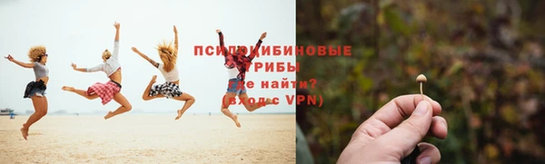 прущие крисы Алексеевка