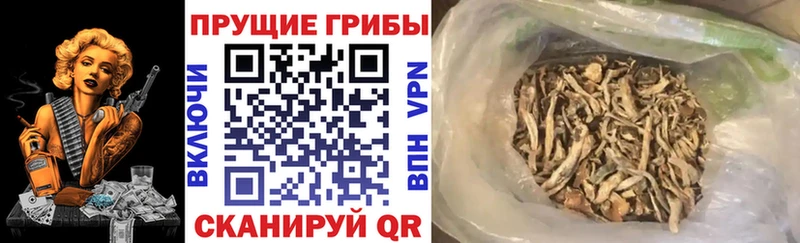 hydra   магазин продажи   Шелехов  Галлюциногенные грибы ЛСД 